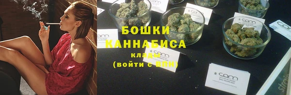 стафф Новодвинск