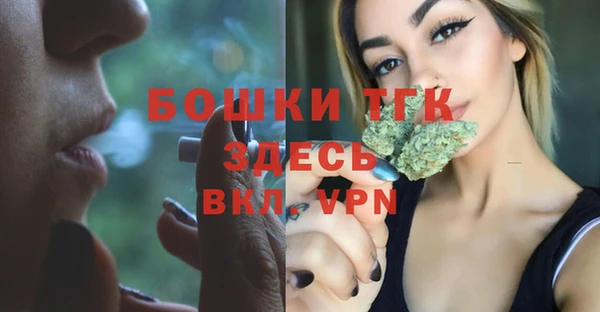 стафф Новодвинск