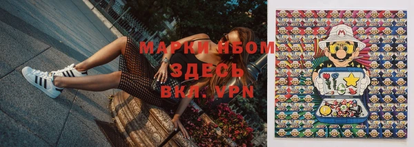 стафф Новодвинск