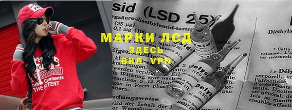 стафф Новодвинск