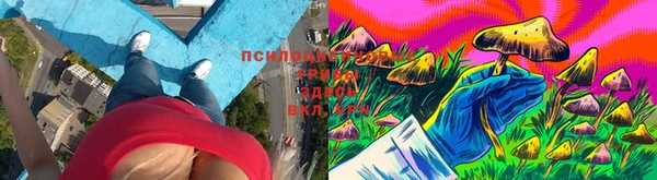 марки lsd Дмитриев