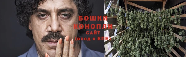 стафф Новодвинск